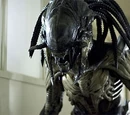 Alien Queen sub-transformation