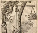Johann Georg Krünitz