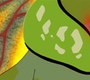 The Alliance