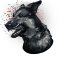 Dogs