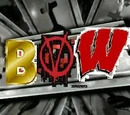 Baltimore Valley Wrestling