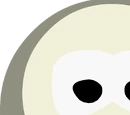 Arctic White
