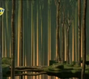 Forest Sector