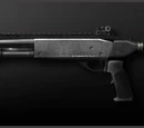 Pump Action