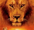 African Cats