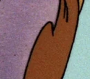 A Bird in the Hand