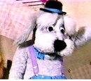Barnaby