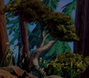 Beauty and the Beast locations