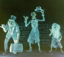 Hitchhiking Ghosts