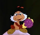 Old Bootle Beetle (Morris, The Midget Moose)