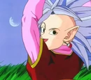 Western Supreme Kai