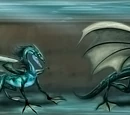 Water Dragon