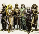 Elf, Variant (3.5e Race)