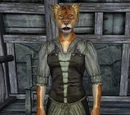 Khajiit (Oblivion)