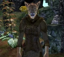 Atrabhi (Dementia)