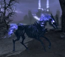Arvak