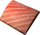 Salmon Meat