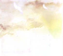 Basis for anime