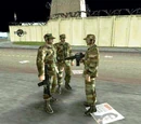 Ejército de Vice City