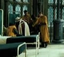 Equipo de Quidditch de Hufflepuff