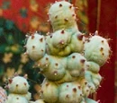 Mimbulus Mimbletonia