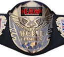 Extreme Answers Wrestling Answers World Championship