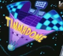 Timmadome