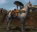 Dragoon Mount Bridle