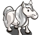 Silver Pony