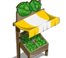 Cabbage