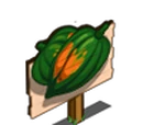 Acorn Squash