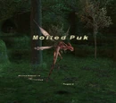 Molted Puk