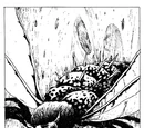 Giant Moth