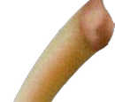 Dragon Fang (Item)