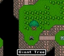 Giant Tree