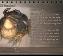 Bestiary (Final Fantasy XII)