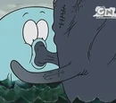 Whale Times