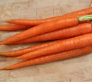 Carrot