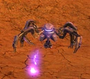 Colony Sand Spider