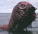 HeiseiMosuLarva