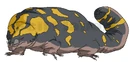 Giant Gila Monster.jpg