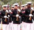 Drill purpose rifle