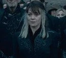 Narcissa Malfoy's second wand