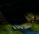Secret study beneath Greenhouse One
