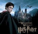 The Wizarding World of Harry Potter