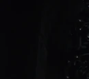 Vault 713