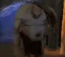 Quirinus Quirrell's second mountain troll