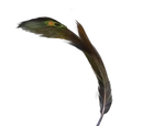 Peacock quill