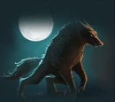 Werewolf