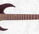 RG2127X